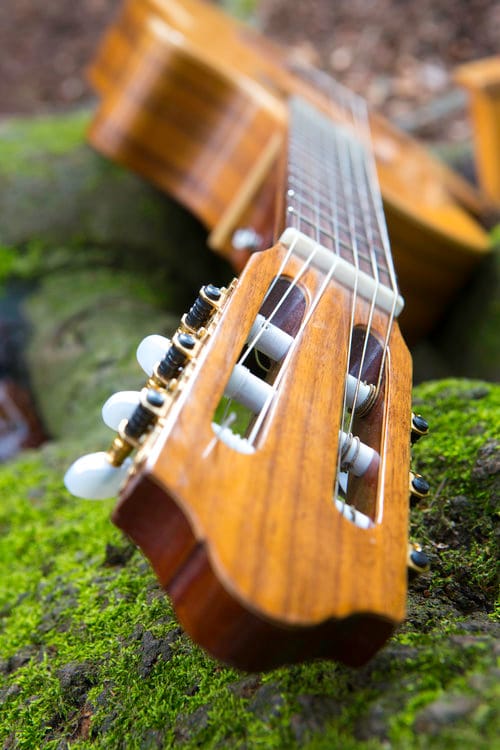 Detail van de hals van een akoestische gitaar op mos